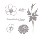 Fabulous Florets Stamp Set 